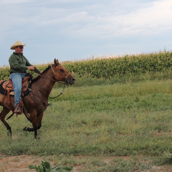 Welcome all - Picture 5 of 16